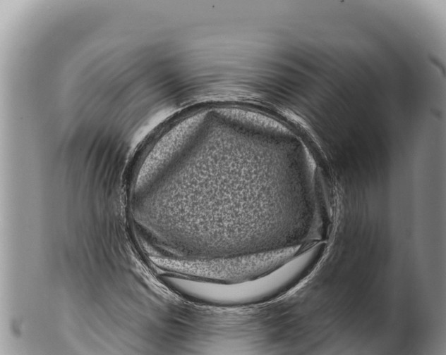 X0000100211114200806201438