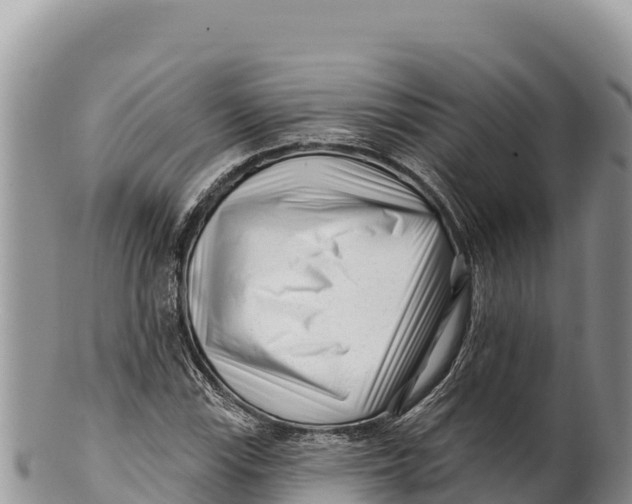 X0000100211115200806201438