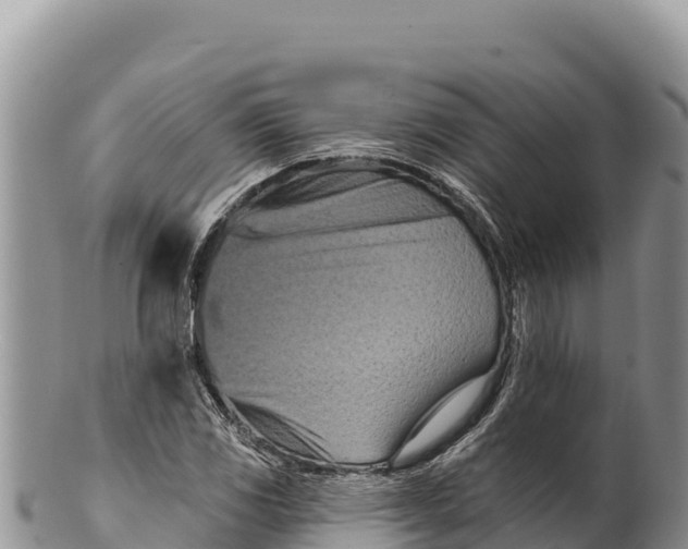 X0000100211117200806201438