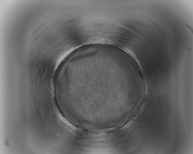 X0000100211120200806201438