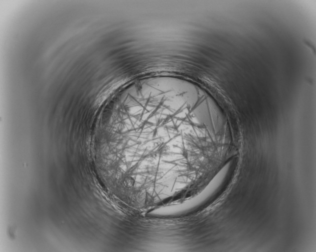 X0000100211121200806201438