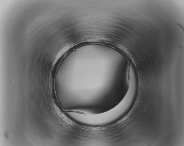 X0000100211122200806201438