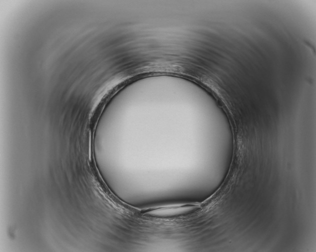 X0000100211123200806201438