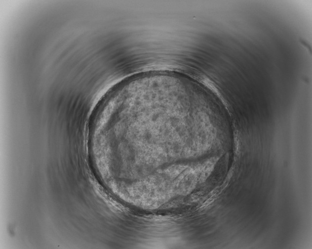 X0000100211124200806201438