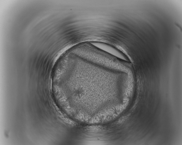 X0000100211125200806201438