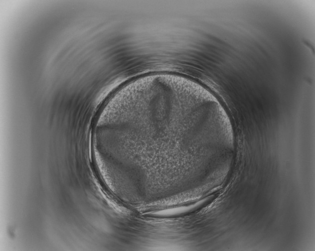 X0000100211127200806201438