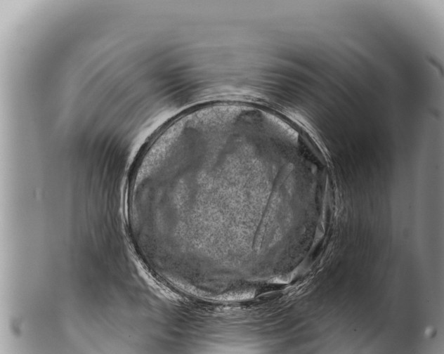 X0000100211128200806201438