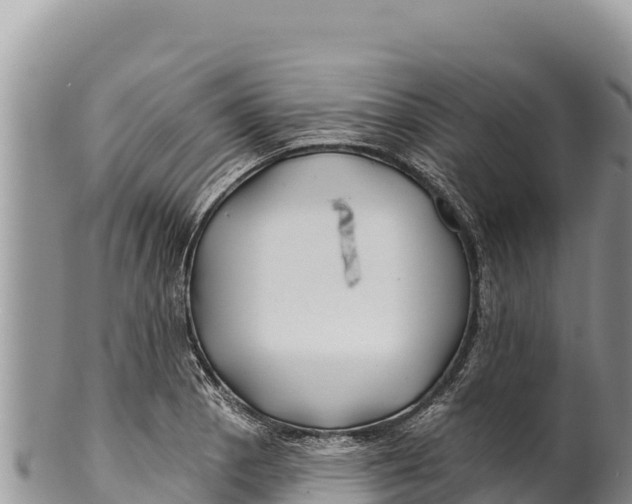 X0000100211129200806201438