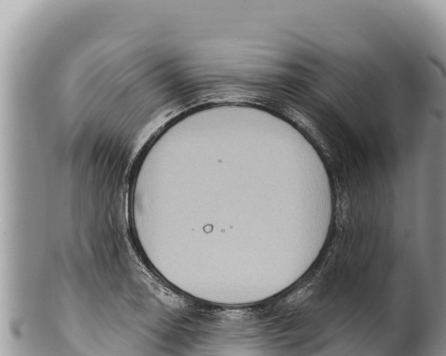 X0000100211130200806201438