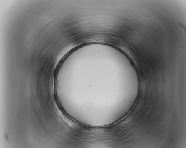 X0000100211131200806201439