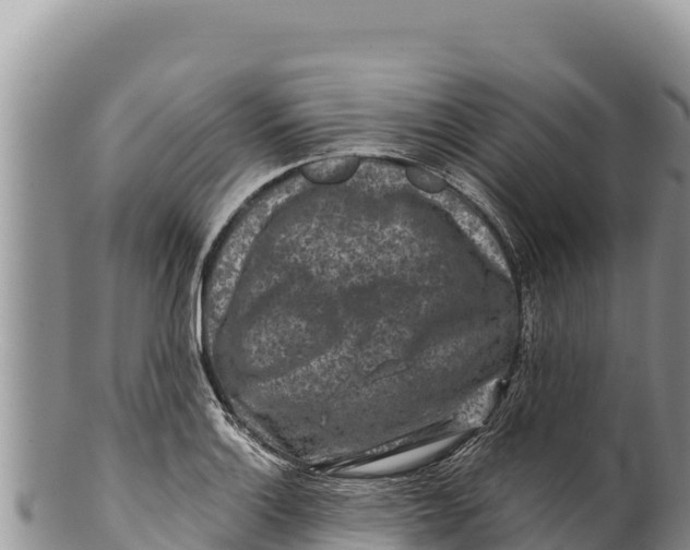 X0000100211132200806201439