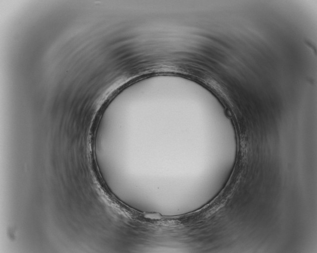 X0000100211133200806201439