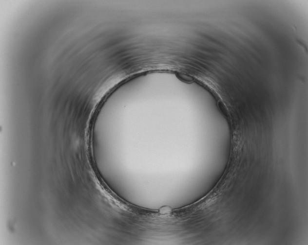 X0000100211135200806201439