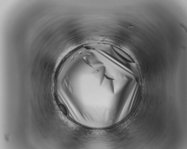 X0000100211136200806201439