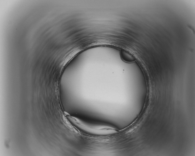 X0000100211137200806201439