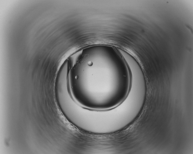 X0000100211138200806201439