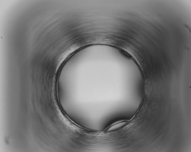 X0000100211139200806201439