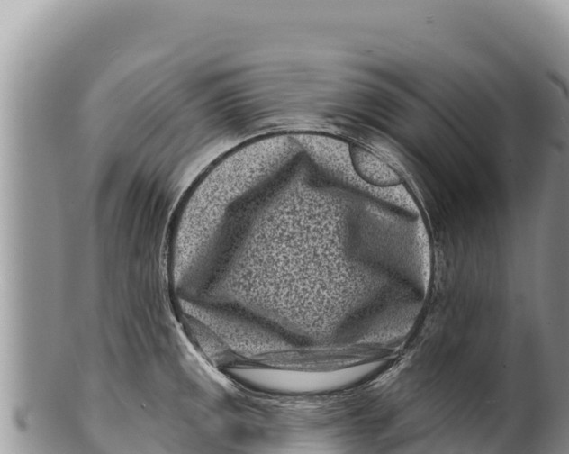 X0000100211141200806201439