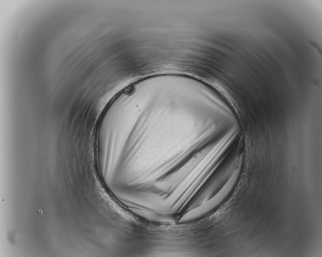 X0000100211142200806201439