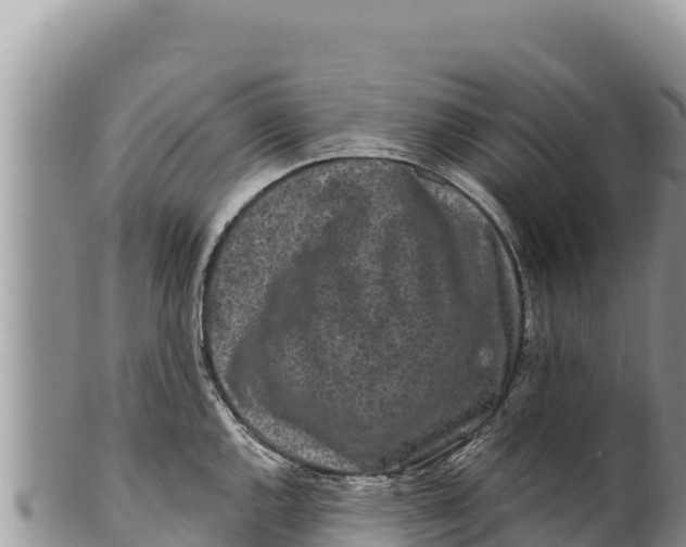 X0000100211144200806201439