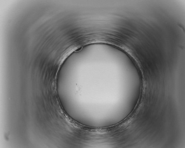 X0000100211145200806201439