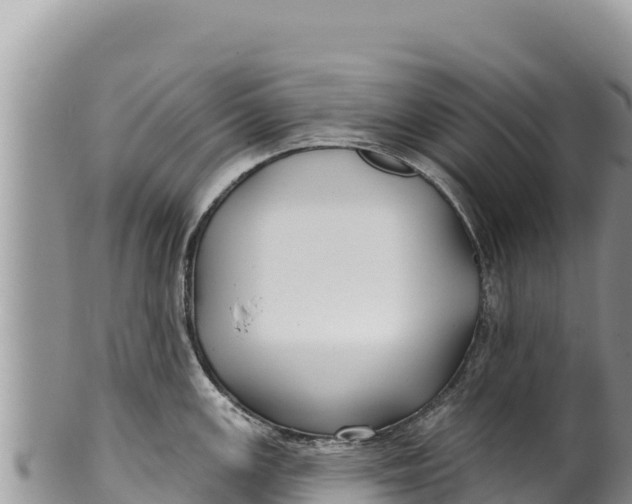 X0000100211147200806201439