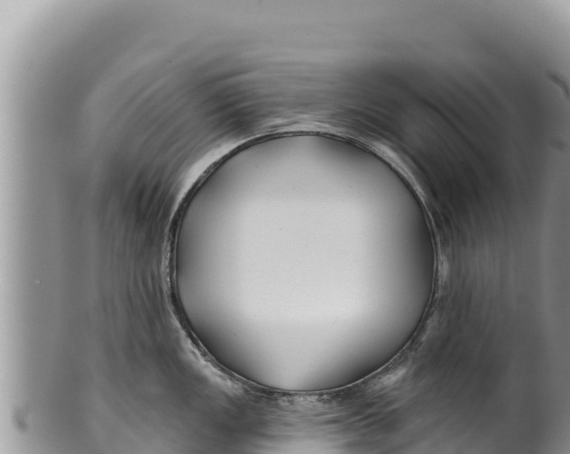 X0000100211149200806201439