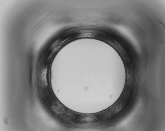 X0000100211150200806201439