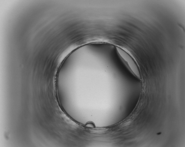 X0000100211151200806201439