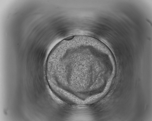 X0000100211152200806201439