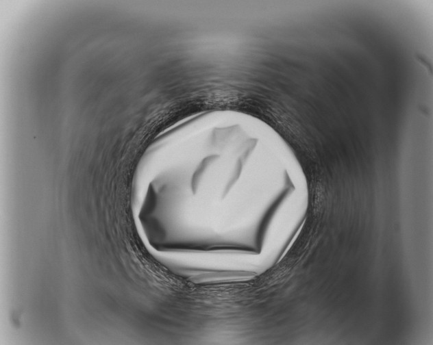 X0000100211153200806201438