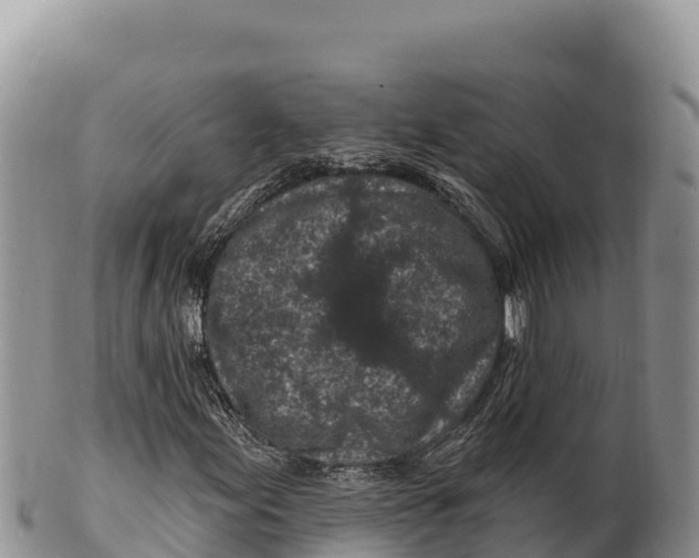 X0000100211155200806201438