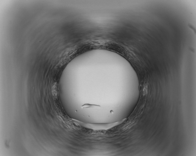 X0000100211156200806201438