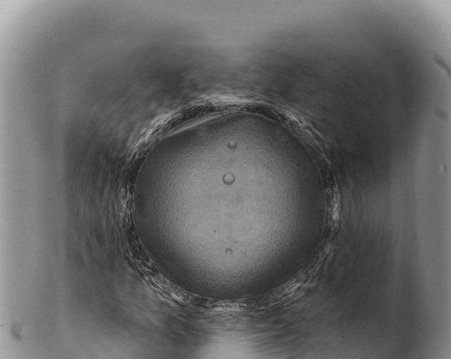 X0000100211157200806201438