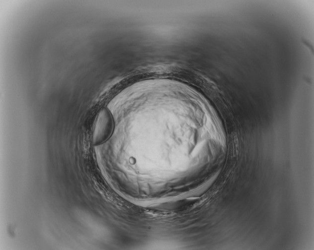 X0000100211158200806201438