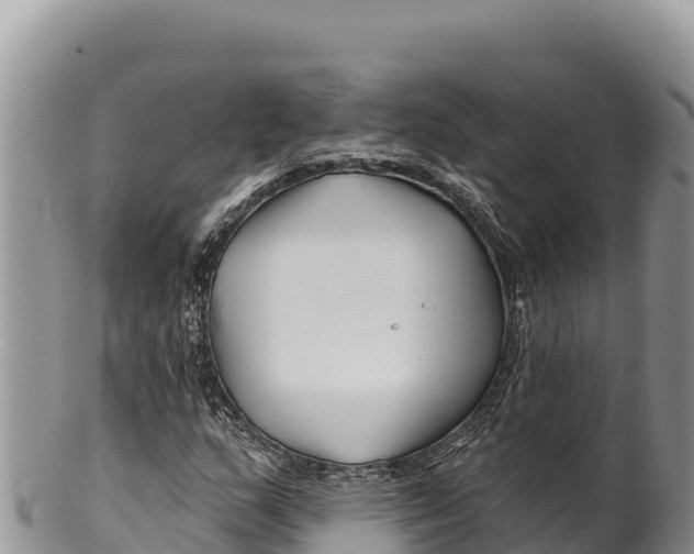 X0000100211159200806201438