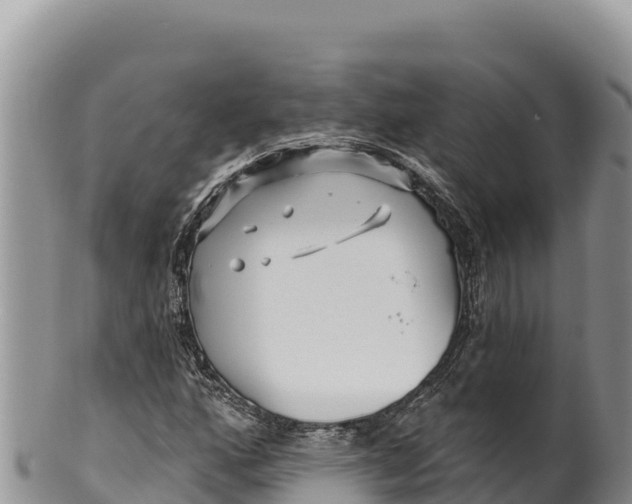 X0000100211160200806201438