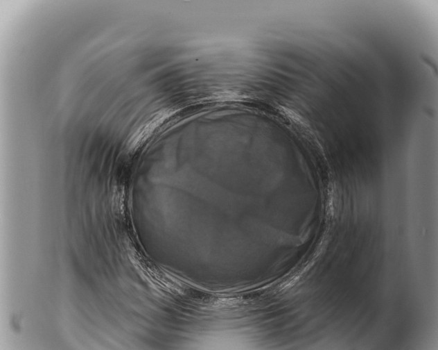 X0000100211161200806201438