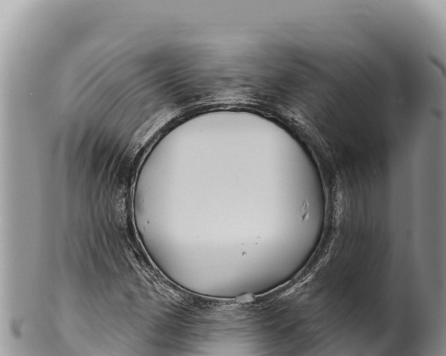 X0000100211162200806201438