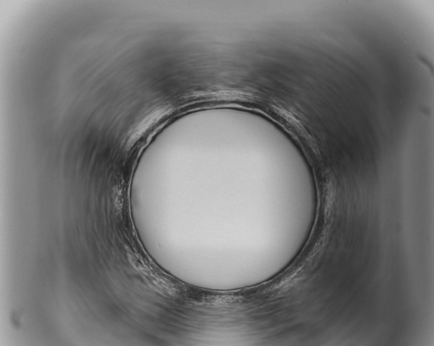 X0000100211163200806201438