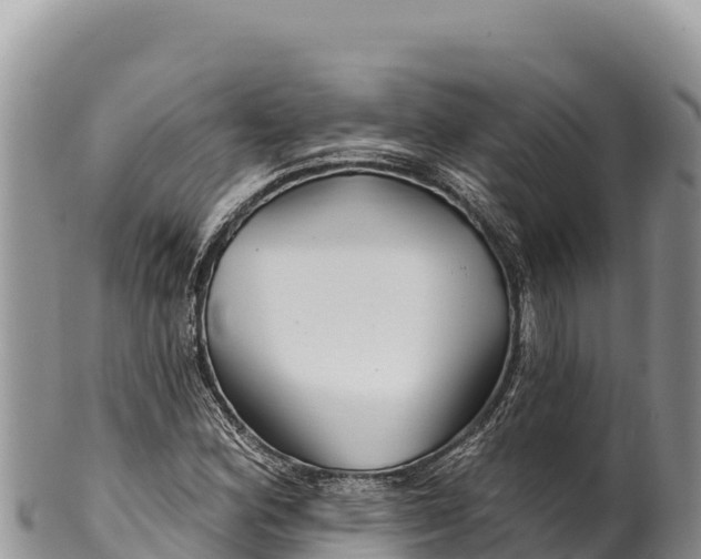 X0000100211164200806201438