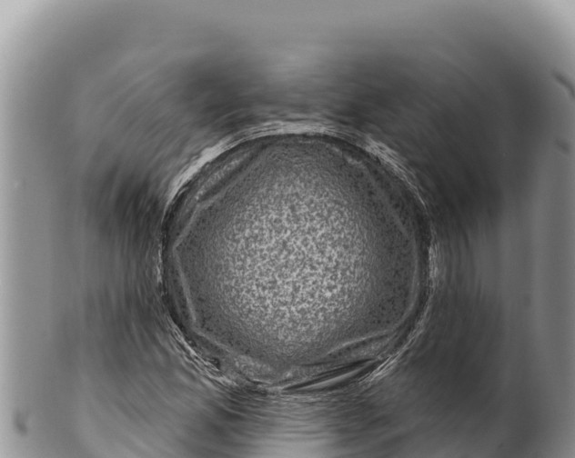 X0000100211165200806201438