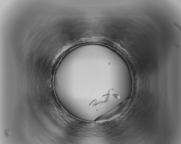 X0000100211166200806201438