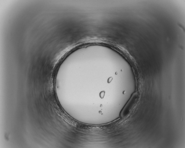 X0000100211167200806201438