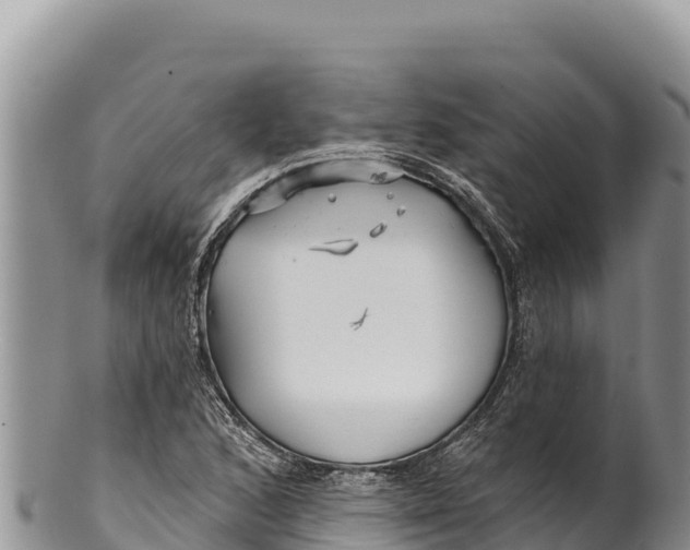 X0000100211168200806201438