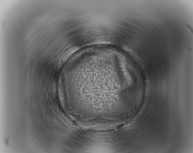 X0000100211169200806201438