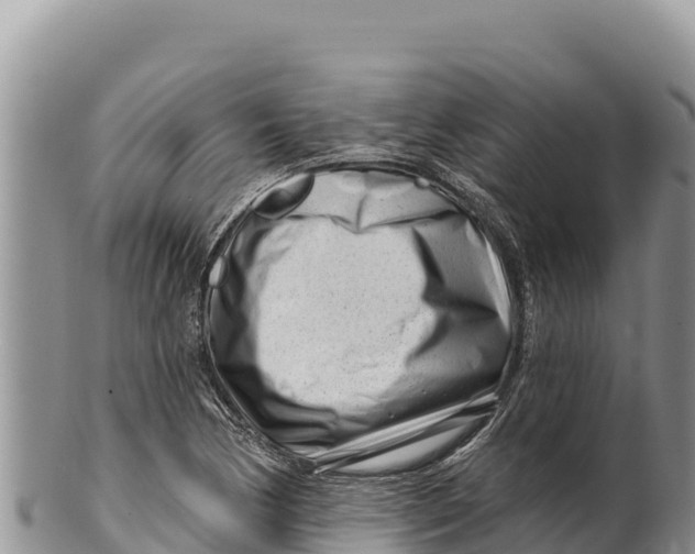 X0000100211170200806201438