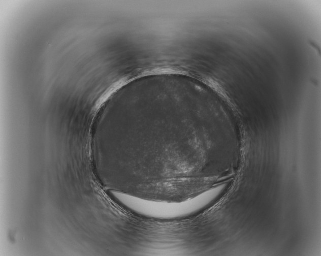 X0000100211173200806201438