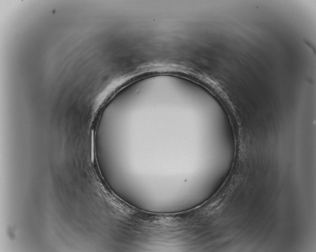 X0000100211175200806201438