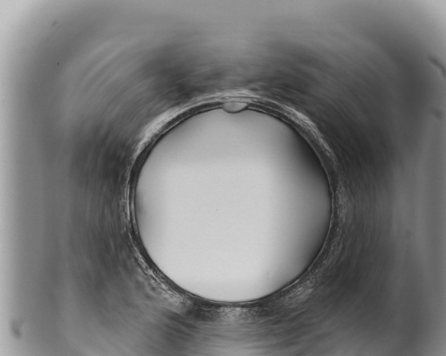 X0000100211176200806201438